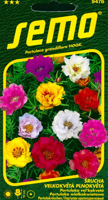 Moss Rose Double Mix Seeds