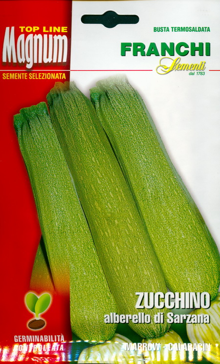 Zucchini Squash Alberello Di Sarzana Seeds