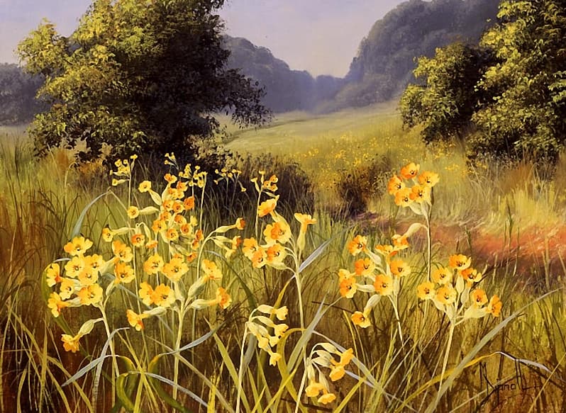 Nurmenukk Primula veris