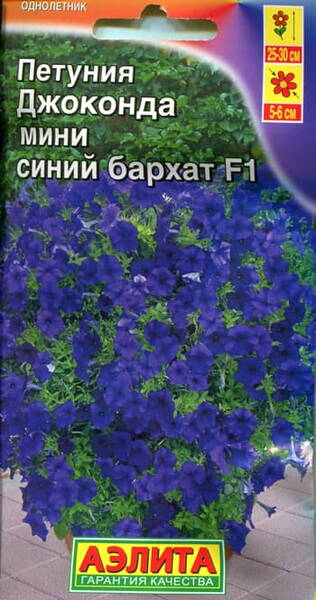 Pétunia "Gioconda Mini Blue Velvet" F1