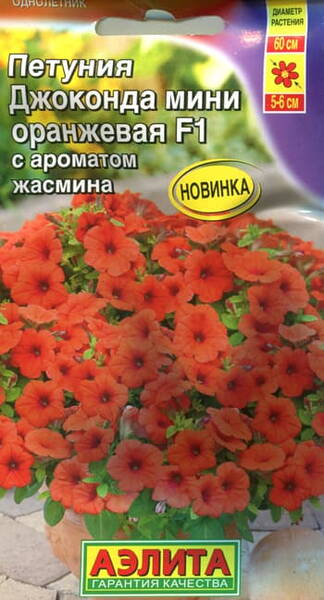 Petunia "Gioconda mini Orange" F1 Petunia "Gioconda mini Orange" F1