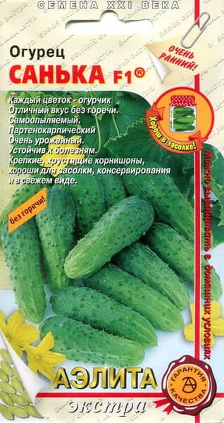 Cucumber "Sanka" F1