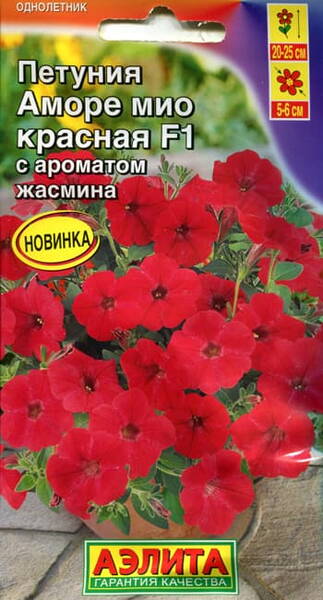 Petunia "Amore Mio Red" F1 Petunia "Amore Mio Red" F1