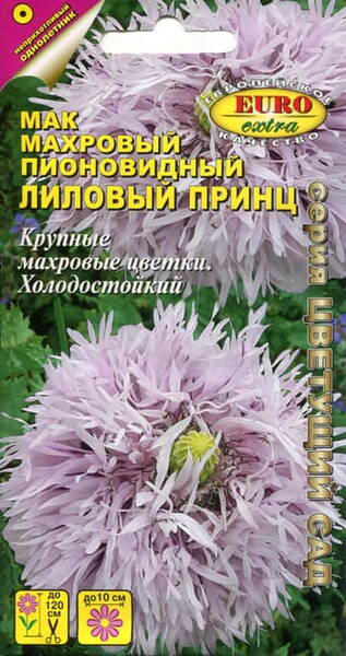 Magun pojengikujuline "Lilovy Prints"