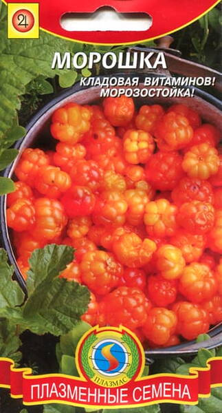 Cloudberry