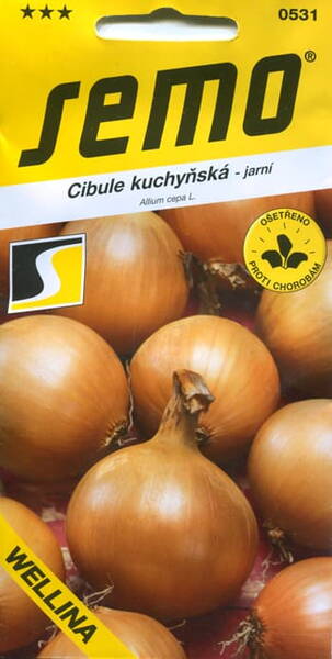 Onion "Wellina" /200 g/