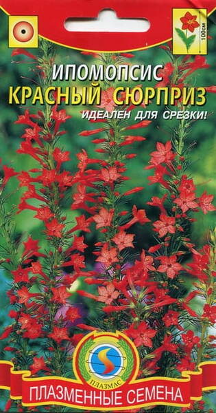 Punane sabalill "Red Surprise" Ipomopsis rubra