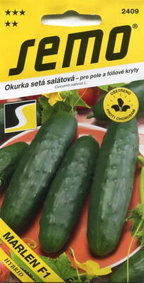 Salad cucumber "Marlen" F1