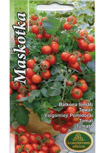 Tomat "Maskotka"