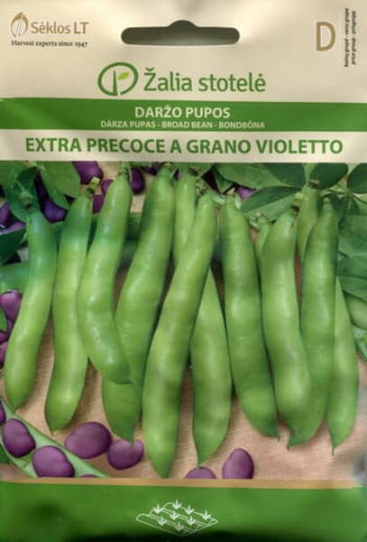 Põlduba "Extra Precoce a Grano Violetto"