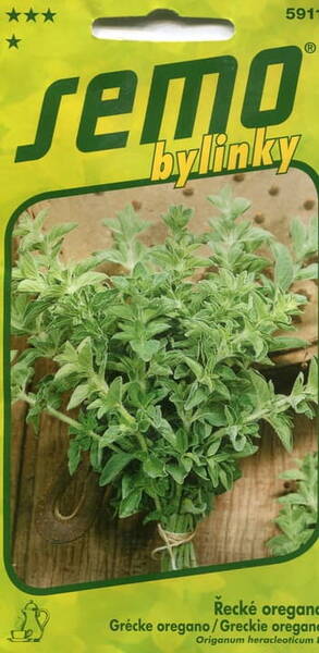 Greek oregano