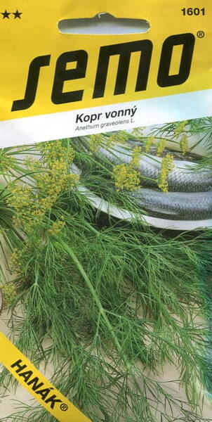 Dill "Hanak" (Plain)