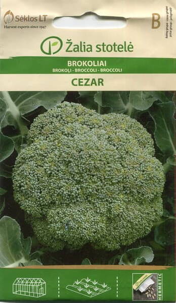 Broccoli "Cezar"