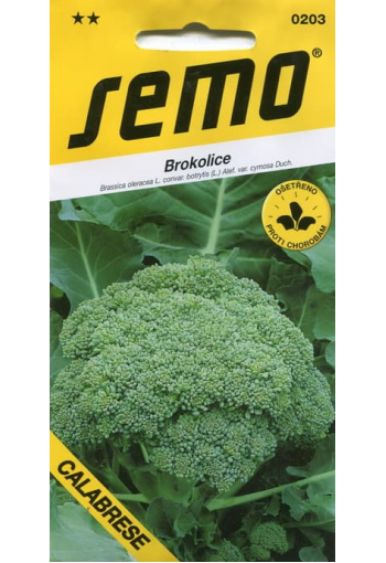 Broccoli "Calabrese" 