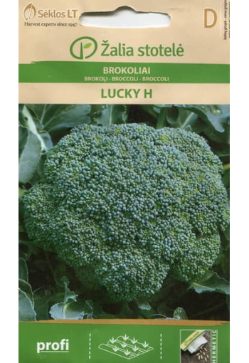 Green Sprouting Calabrese Broccoli "Lucky" F1