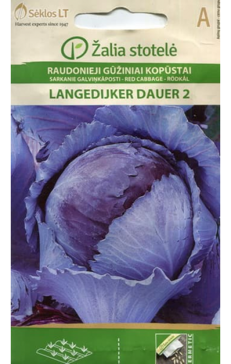 Капуста краснокочанная Лангедейкер Дауэр 2: семена