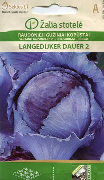 Punakaali "Langedijker Dauer 2"