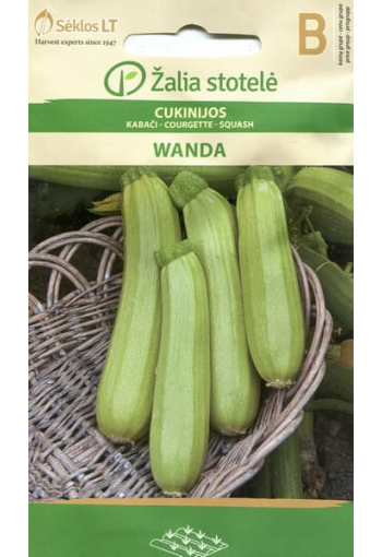 Courgette zucchini "Wanda"