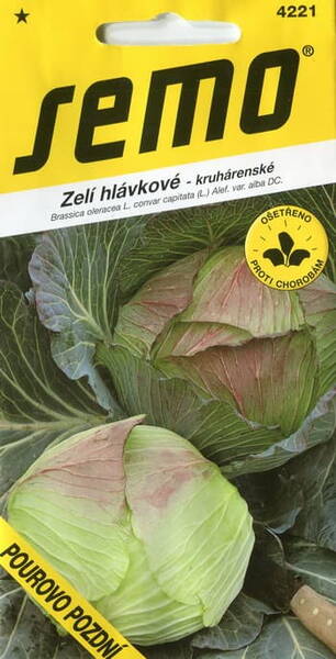 White cabbage "Pourovo Pozdni"