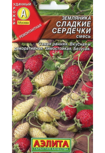 Alpi maasikas remontantne "Sladkie Serdechki"