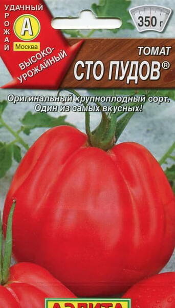 Tomato "Sto pudov"