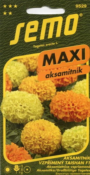 African marigold "Taishan" F1 (mix)