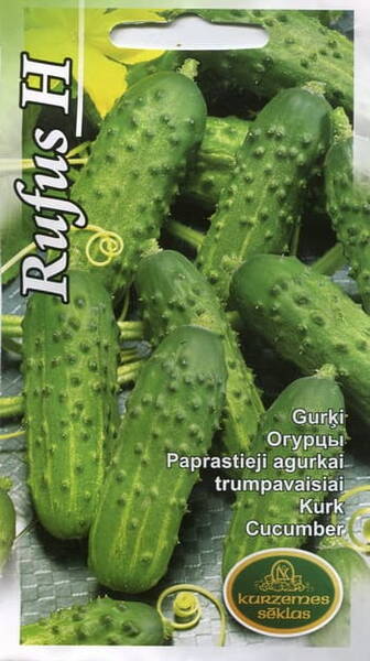 Cucumber "Rufus" F1