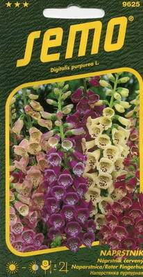 Foxglove "Excelsior mix"