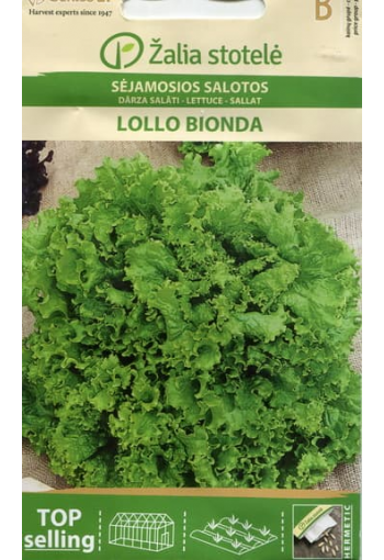 Lehtisalaatti "Lollo Bionda"