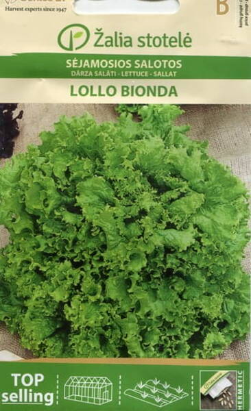 Lettuce "Lollo Bionda"