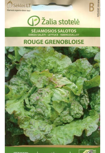 Lettuce "Rouge Grenobloise"