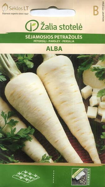 Root parsley "Alba"