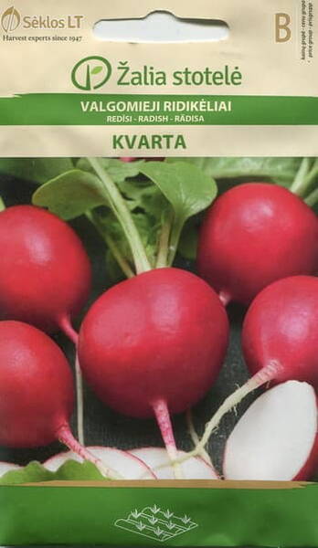 Radish "Kvarta"