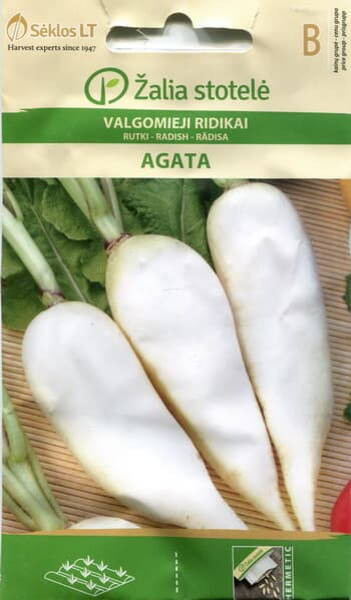 Summer radish "Agata"