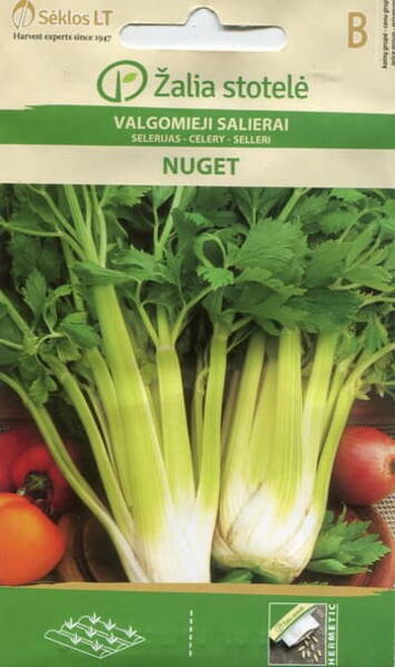 Leaf stalk celery "Nuget"