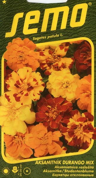 French marigold "Durango" (mix)
