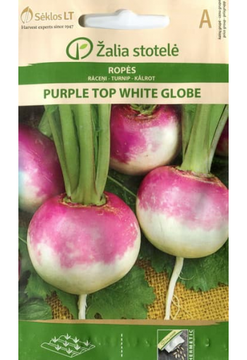 Naeris  "Purple Top White Globe"