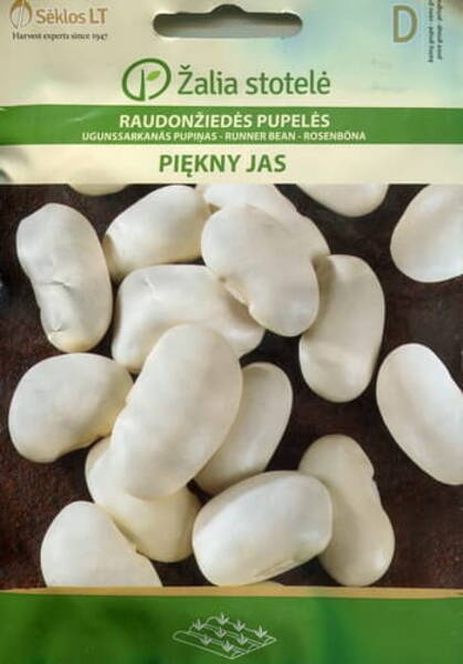 Runner shell bean "Piekny Jas"