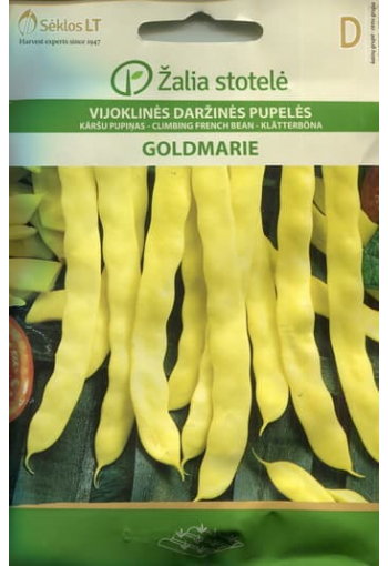 Climbing french bean "Goldmarie"