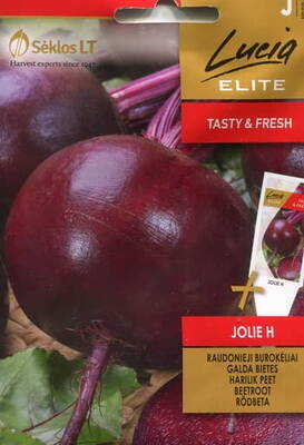 Beetroot "Jolie" F1