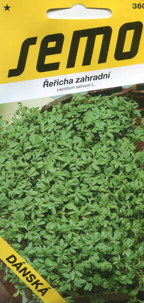 Garden cress​​​​​​​ "Danska" /4 kg/