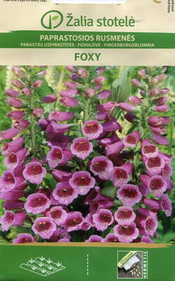 Fingerborgsblomma "Foxy"