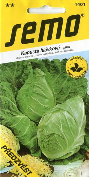 Savoy cabbage "Predzvest"