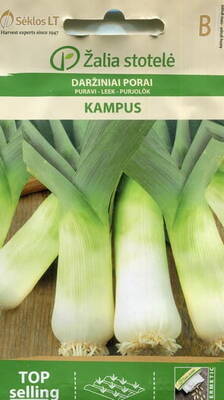 Garden leek "Kampus"