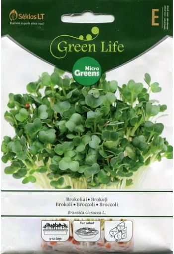 Green sprouting calabrese Broccoli microgreens