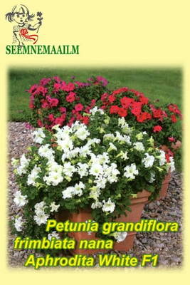 Petuunia suureõieline "Aphrodite White" F1