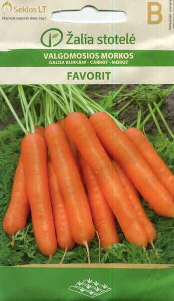 Carrot "Favorit"