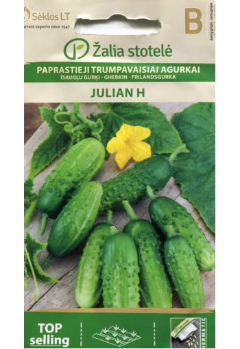 Cucumber "Julian" F1