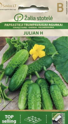 Cucumber "Julian" F1