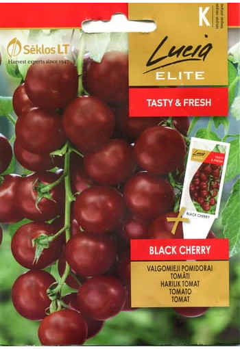 Tomato "Black Cherry"